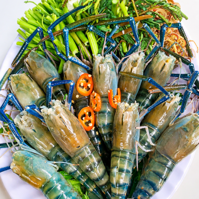 Lẩu Tôm Càng